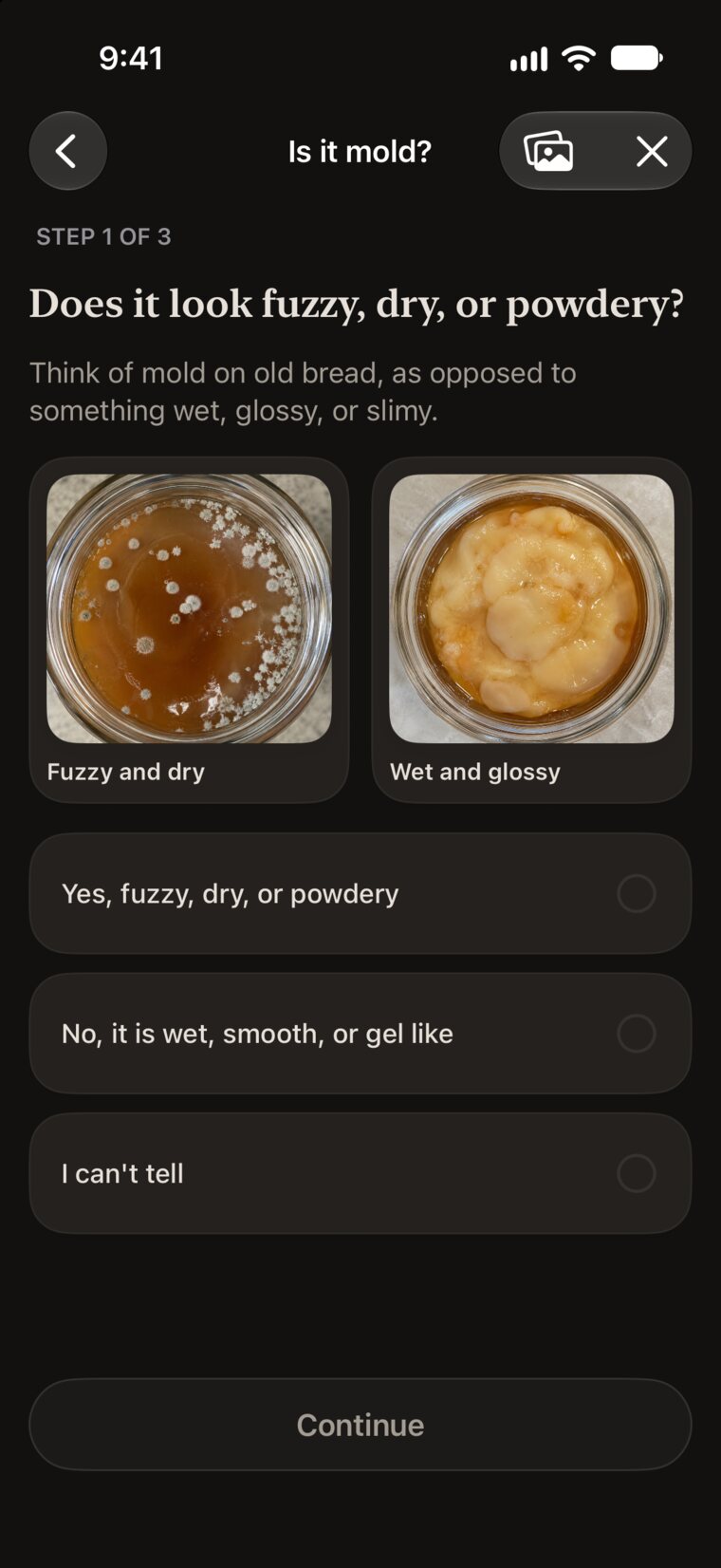 The mold check comparing a fuzzy, dry surface with a wet, glossy pellicle.